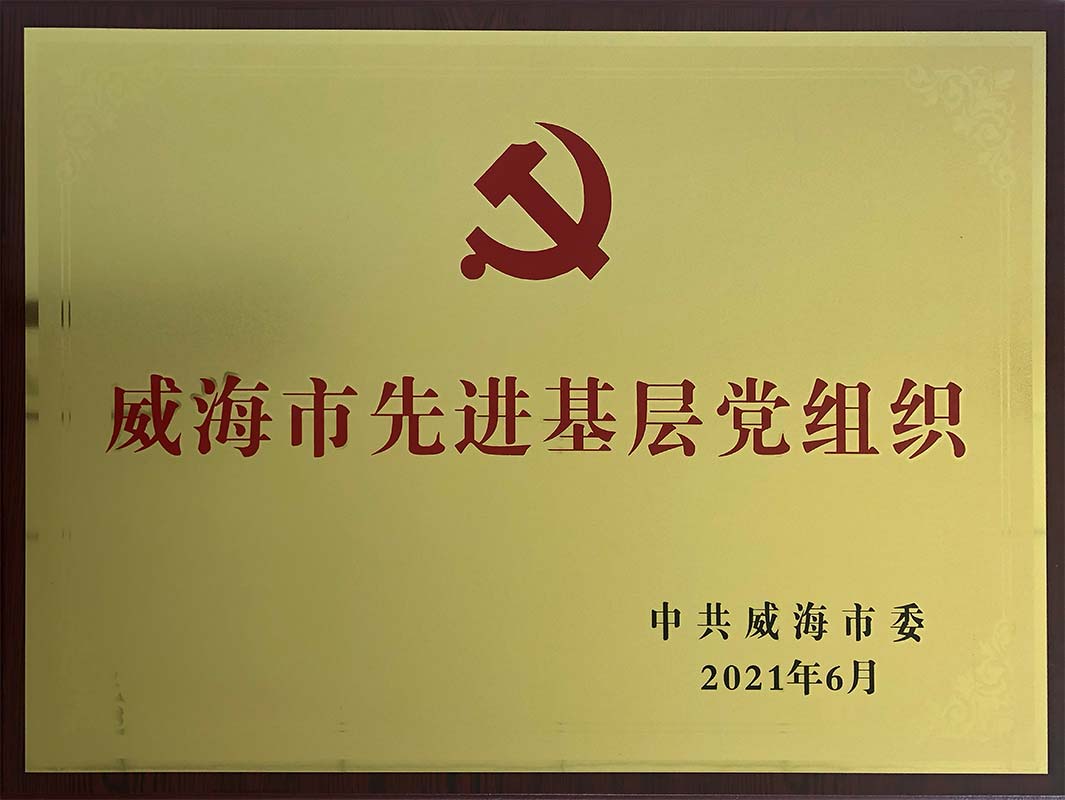 山东鑫发控股有限公司党委被评为威海市先进基层党组织